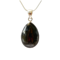 Shungite  Petrovsky  & Sterling Silver Pendant