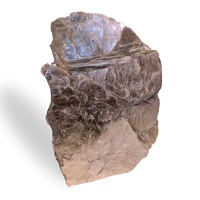 Lepidolite Mica  Upright