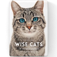 Little Affirmations - Wise Cats Cards