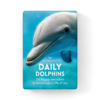Little Affirmations  Daily Dolphins Cards