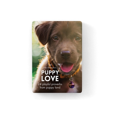Little Affirmations Puppy Love  Cards