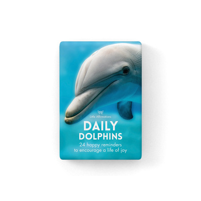 Little Affirmations  Daily Dolphins Cards